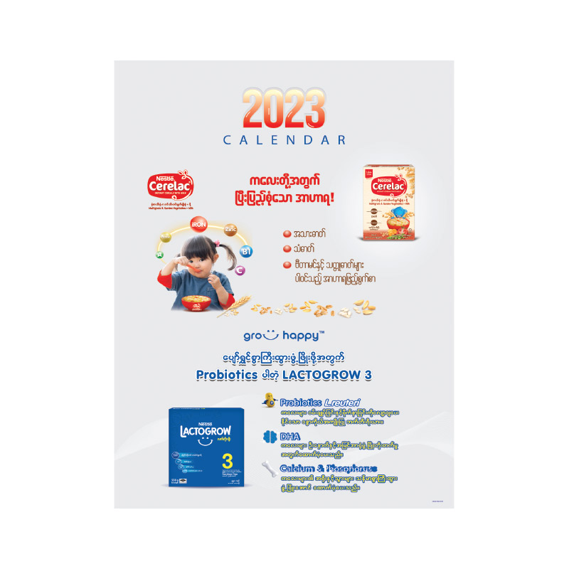 Paper 29